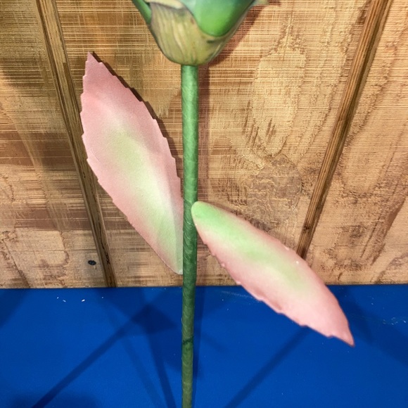 Carnivorous Plants Decor Man Eating Plants Room Decor - Picture 8 of 9